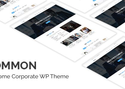 Common- One Page and Multipages WordPress Theme (Business)